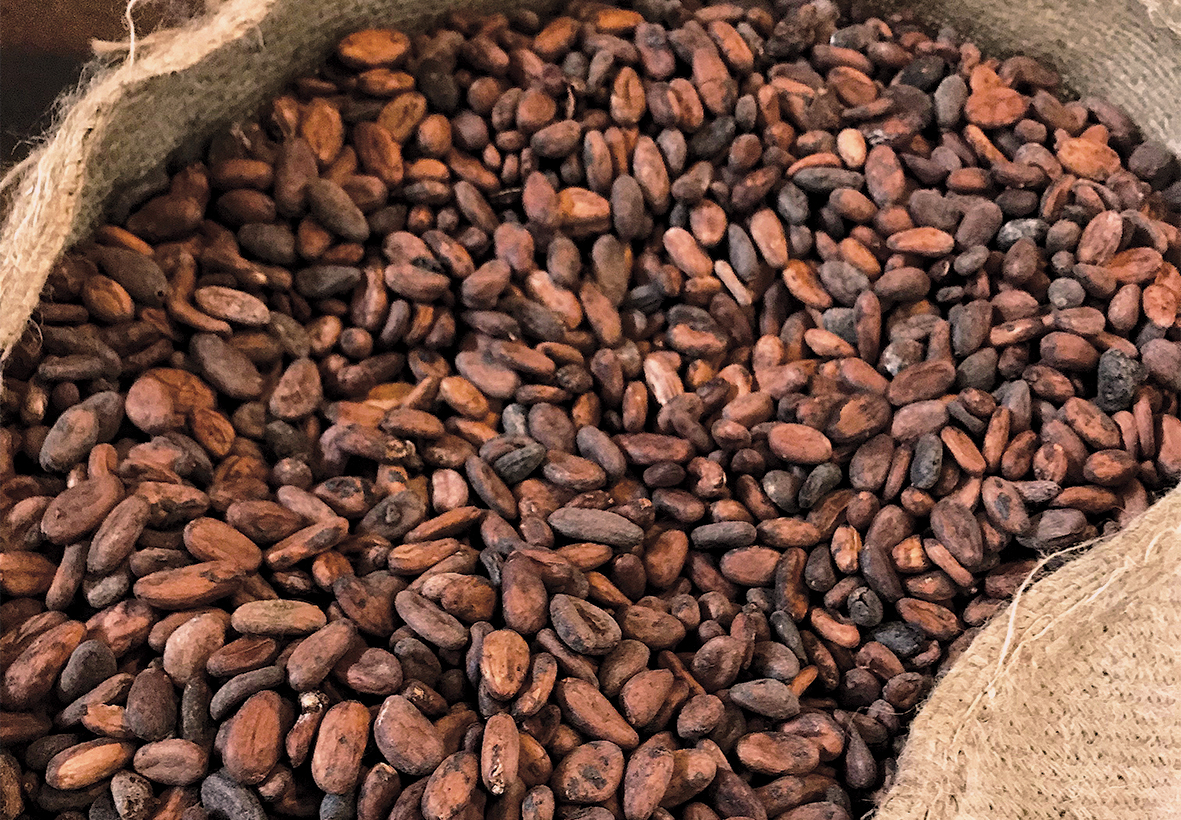 Cocoa Beans Product Profile NEPC