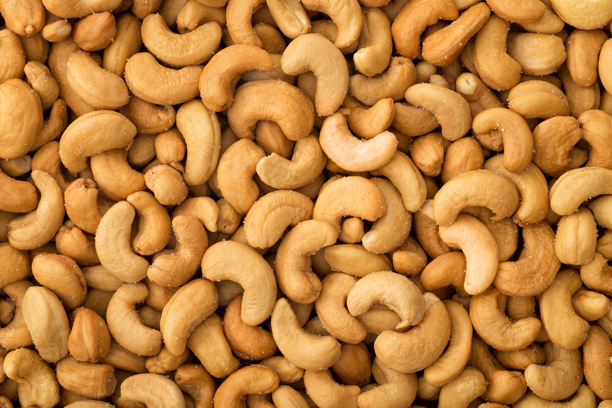 Cashew Nuts - Profile - NEPC