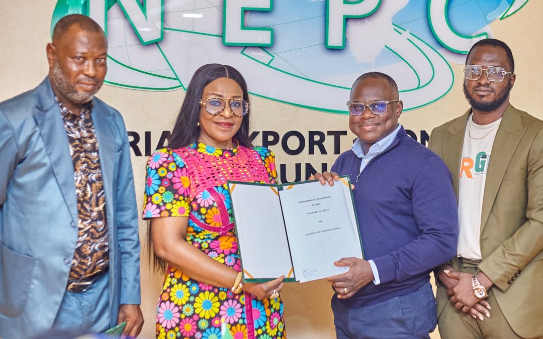NEPC Talent Export Hub To Increase Nigeria’s FX Earnings-Ayeni