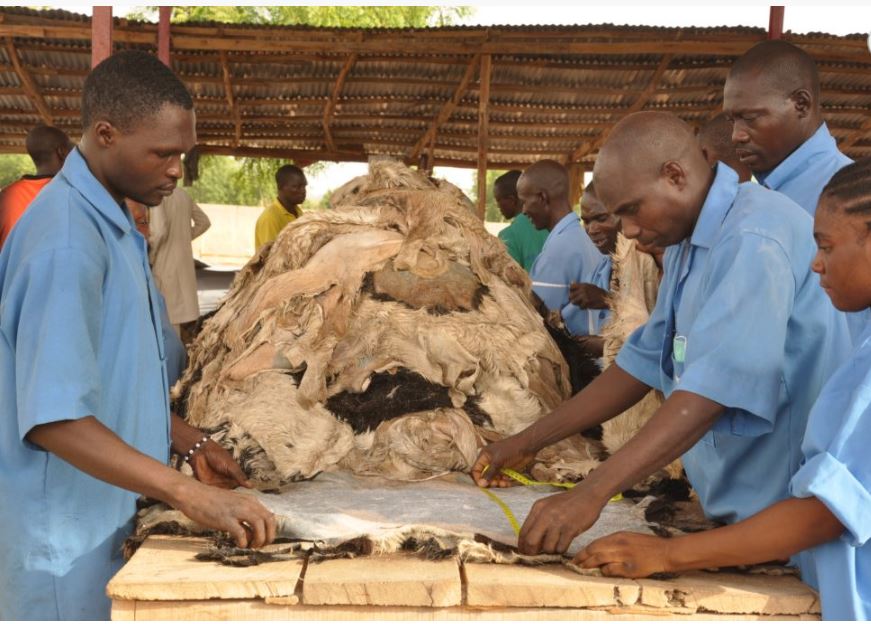 NEPC leather exporters - ztannery processing